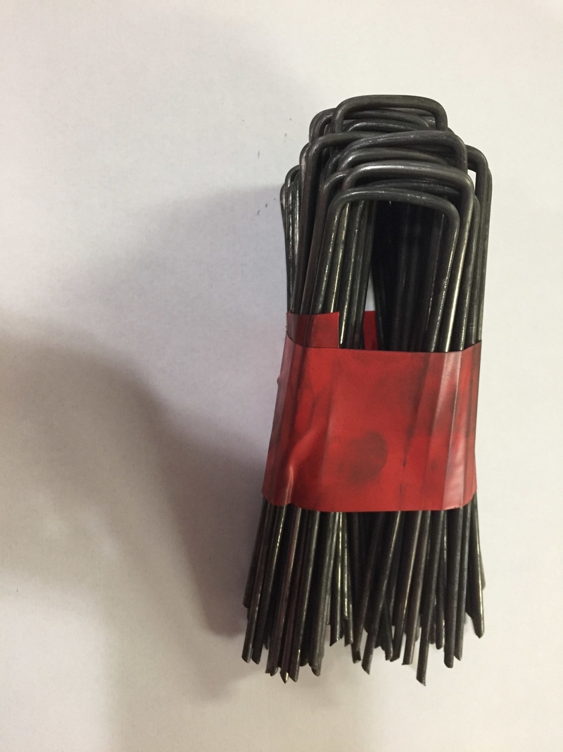 50 pack of Staples